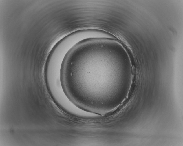 X0000115060789200911091445