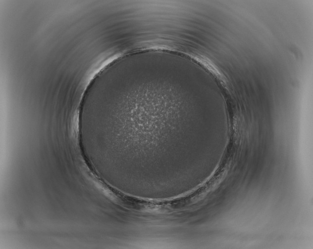 X0000115060790200911091445