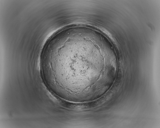 X0000115060791200911091445
