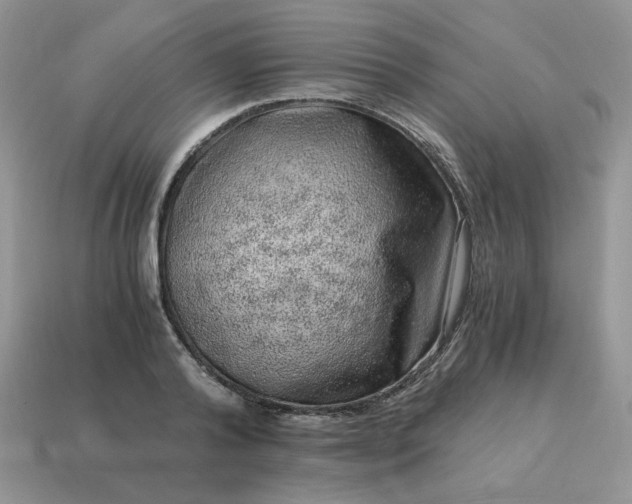 X0000115060792200911091445