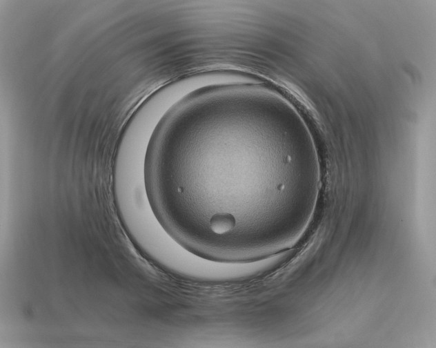 X0000115060793200911091445