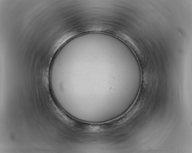 X0000115060794200911091445