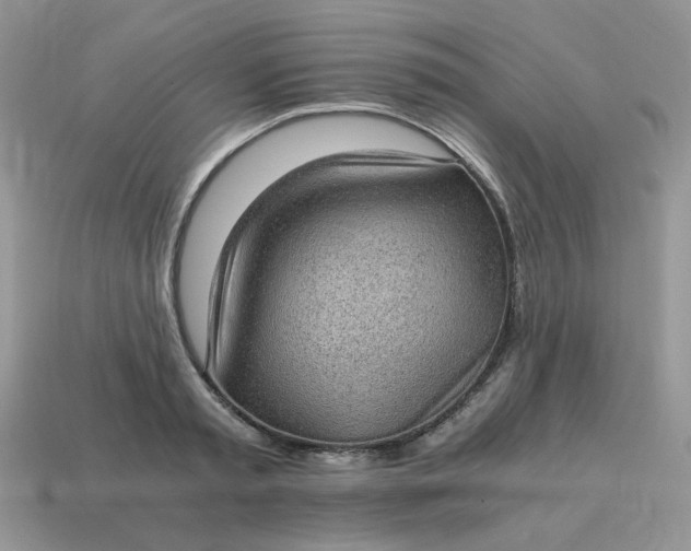 X0000115060797200911091445