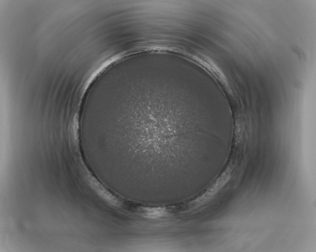 X0000115060798200911091445