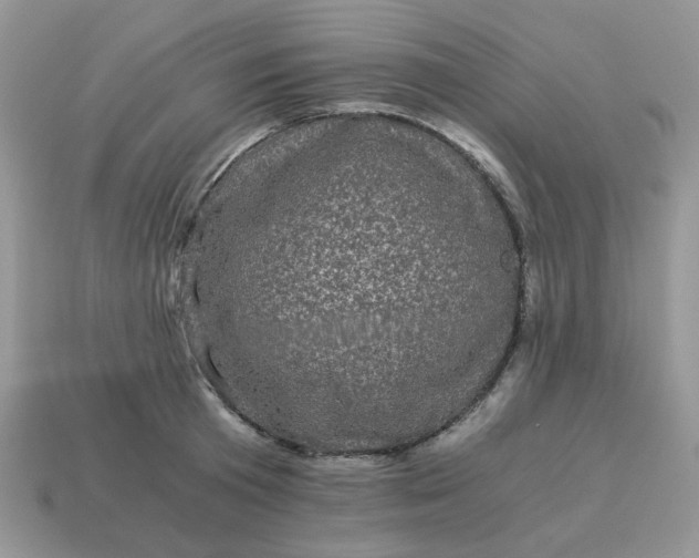 X0000115060801200911091445
