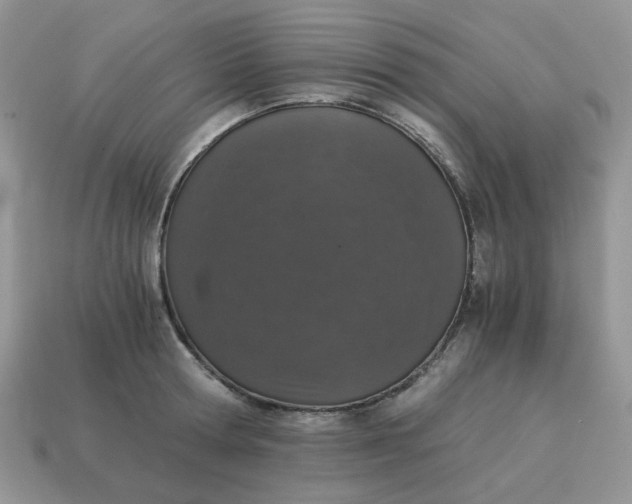 X0000115060802200911091445