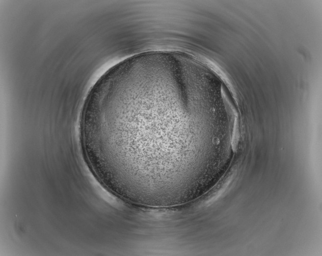 X0000115060803200911091445