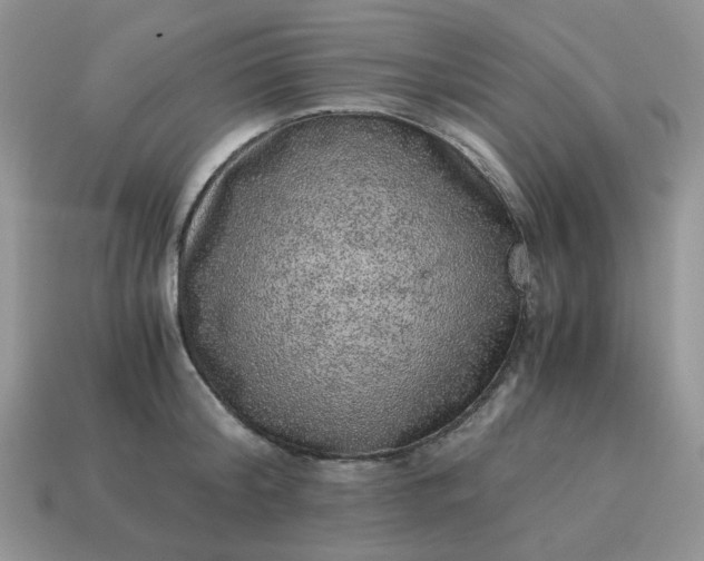 X0000115060804200911091445