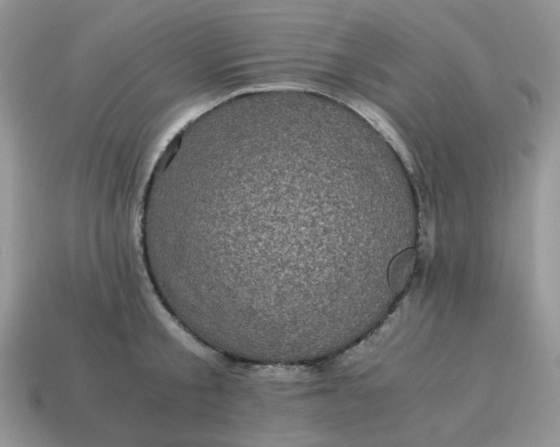 X0000115060805200911091445