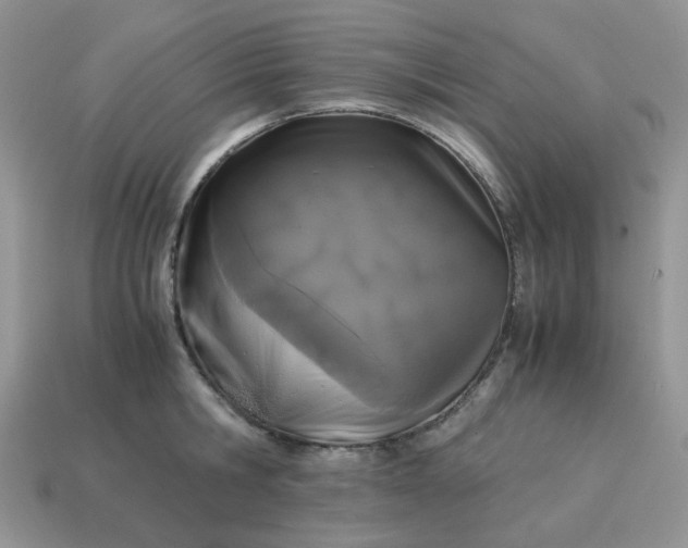 X0000115060806200911091445