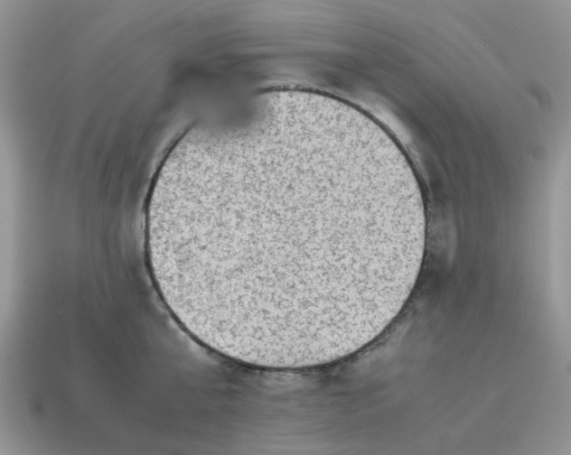 X0000115060807200911091445