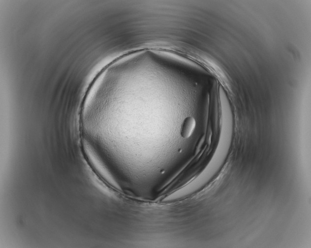 X0000115060808200911091445