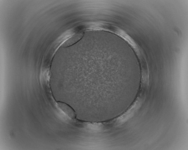 X0000115060809200911091445