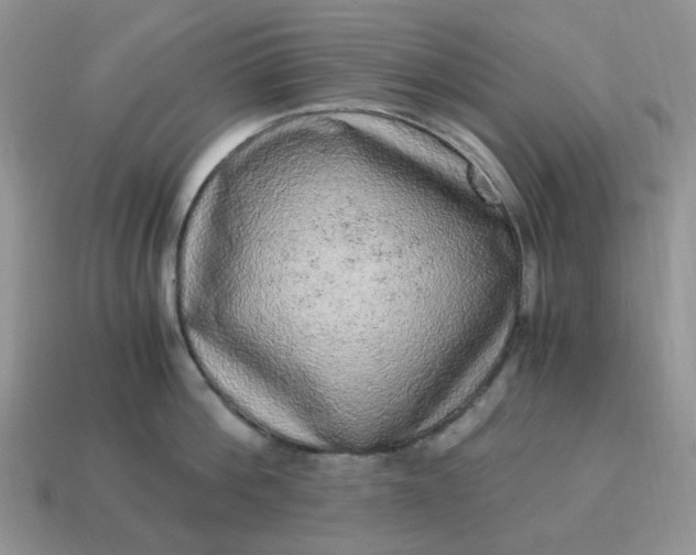 X0000115060812200911091445