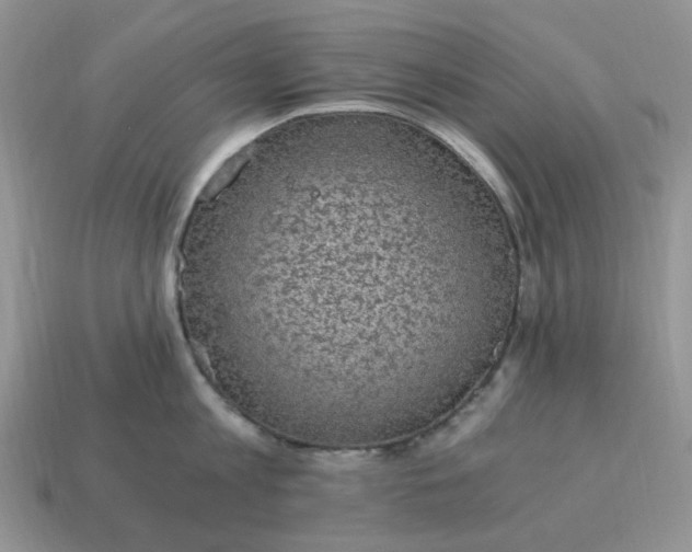 X0000115060813200911091445