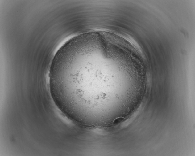 X0000115060814200911091445