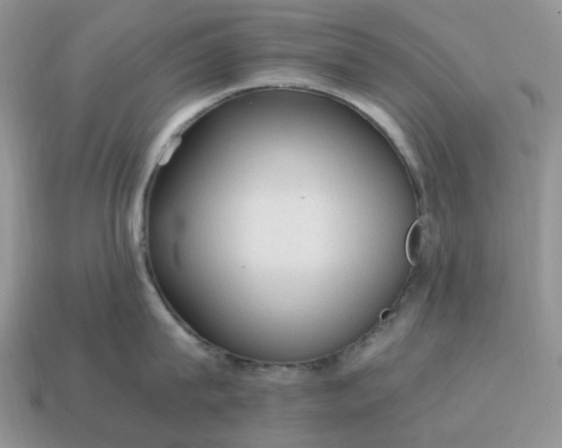 X0000115060815200911091445