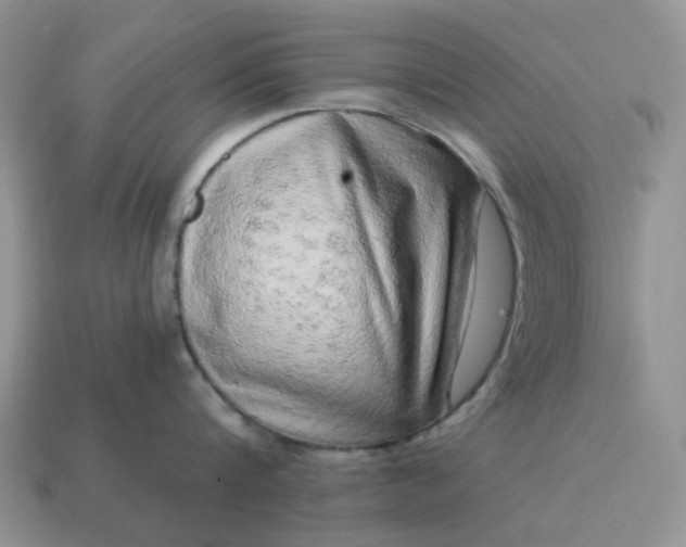 X0000115060816200911091445
