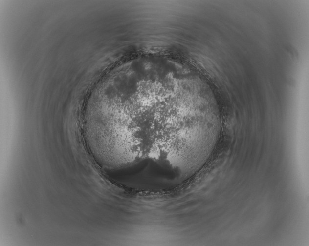 X0000115060817200911091444