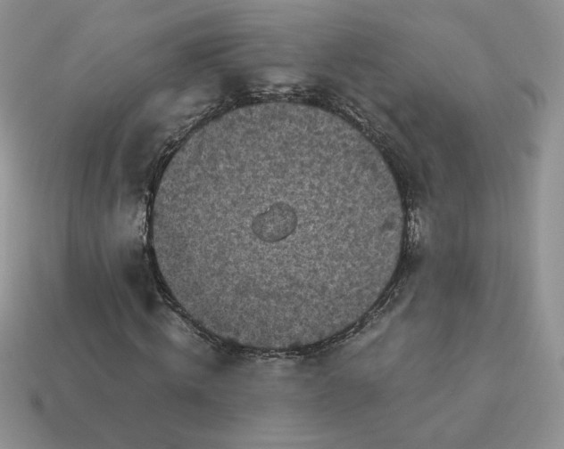 X0000115060820200911091444