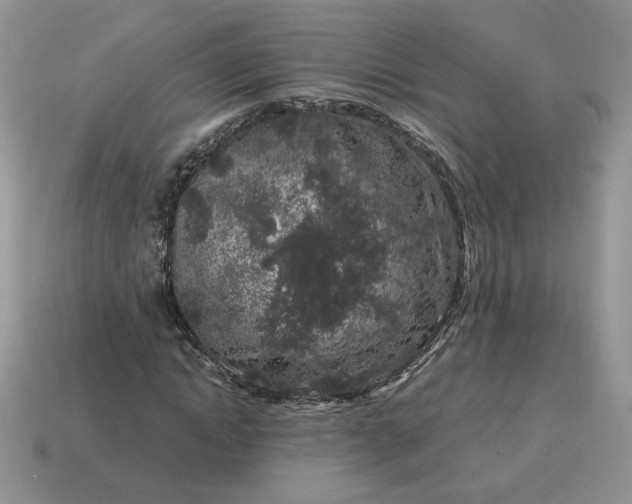 X0000115060822200911091444