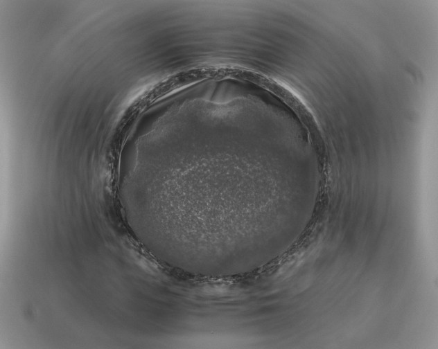 X0000115060823200911091444
