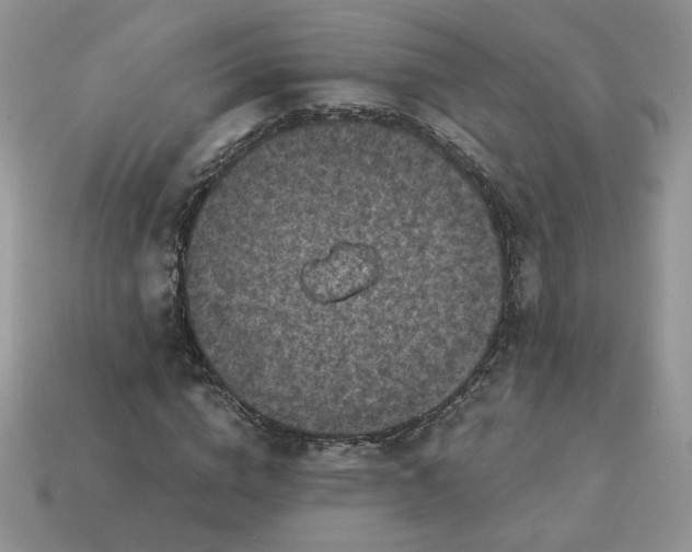 X0000115060824200911091444