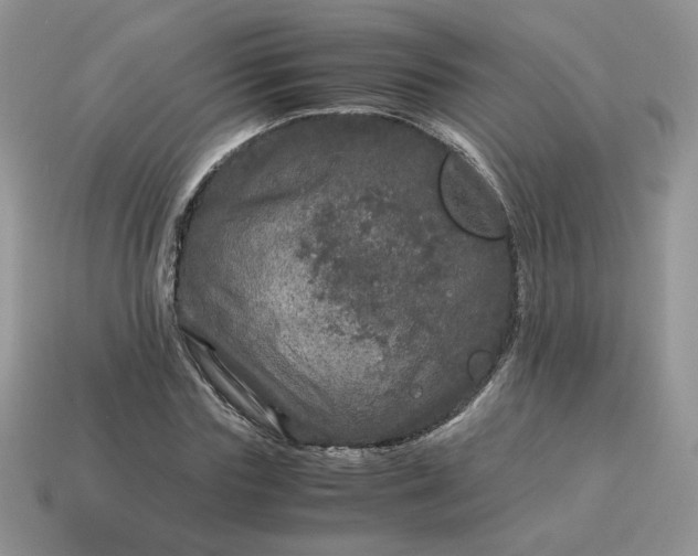 X0000115060827200911091444