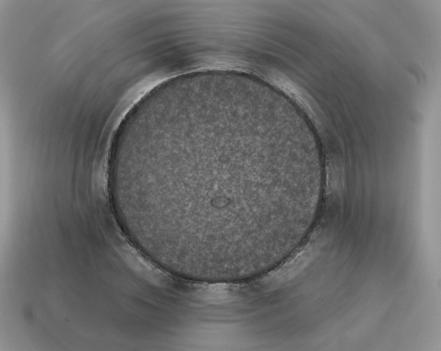 X0000115060828200911091444