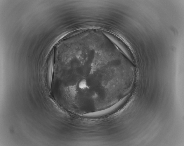 X0000115060829200911091444