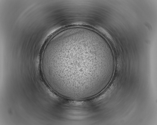 X0000115060831200911091444