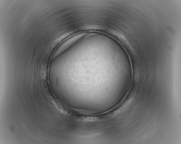 X0000115060833200911091445