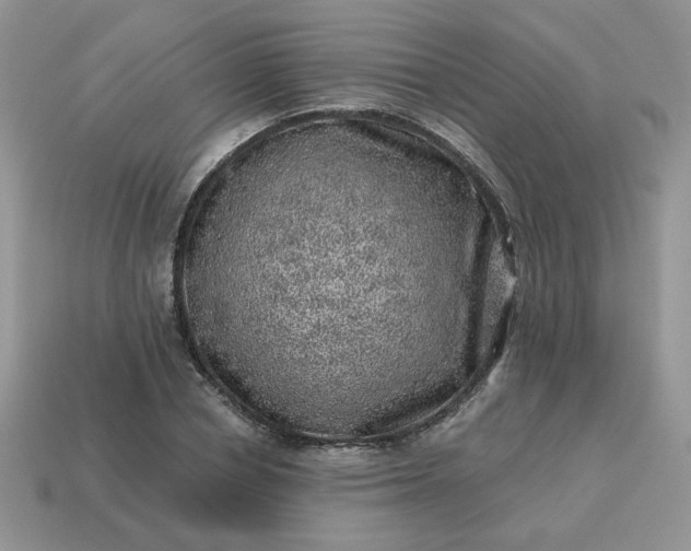 X0000115060834200911091445