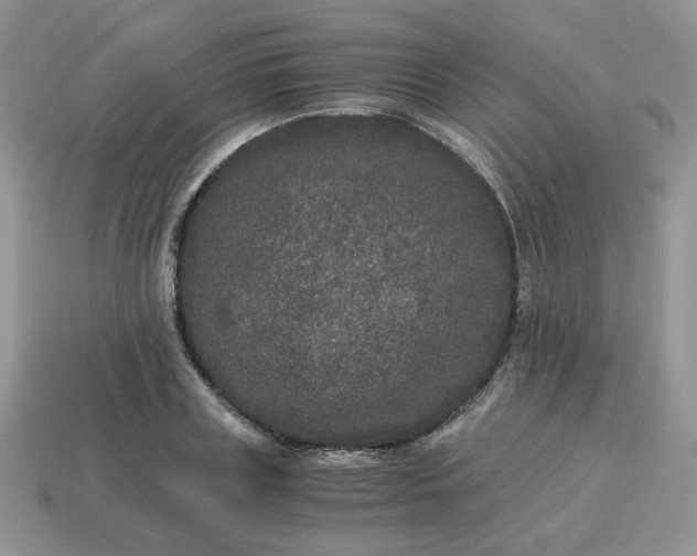 X0000115060835200911091445