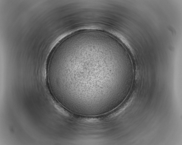 X0000115060837200911091445