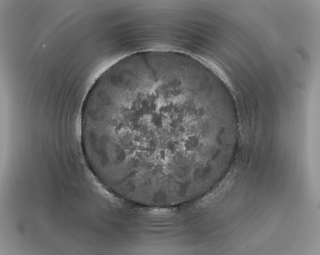 X0000115060839200911091445