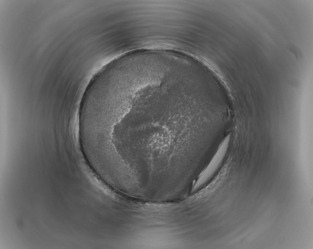 X0000115060840200911091445