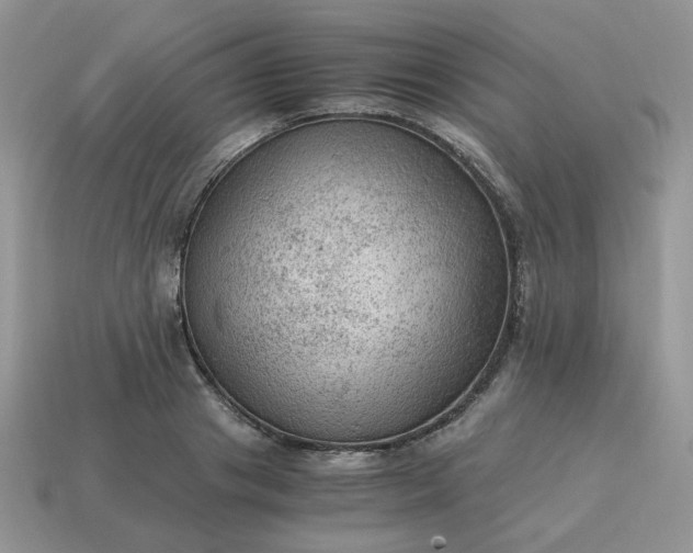 X0000115060841200911091445