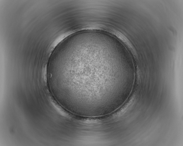X0000115060842200911091445