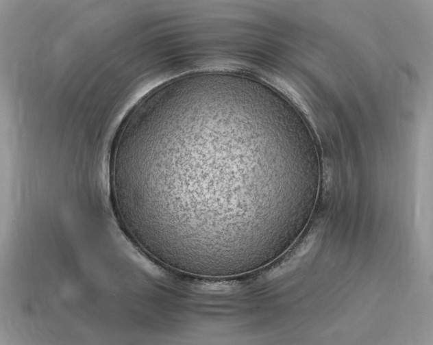 X0000115060843200911091445
