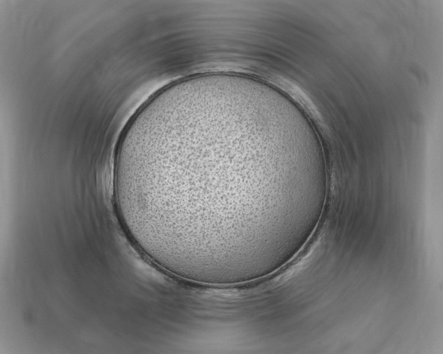 X0000115060844200911091445
