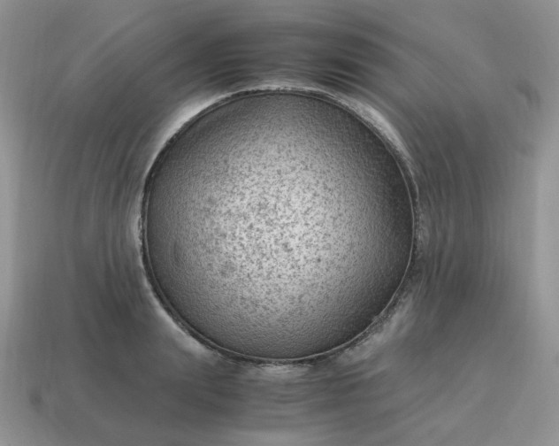 X0000115060847200911091445
