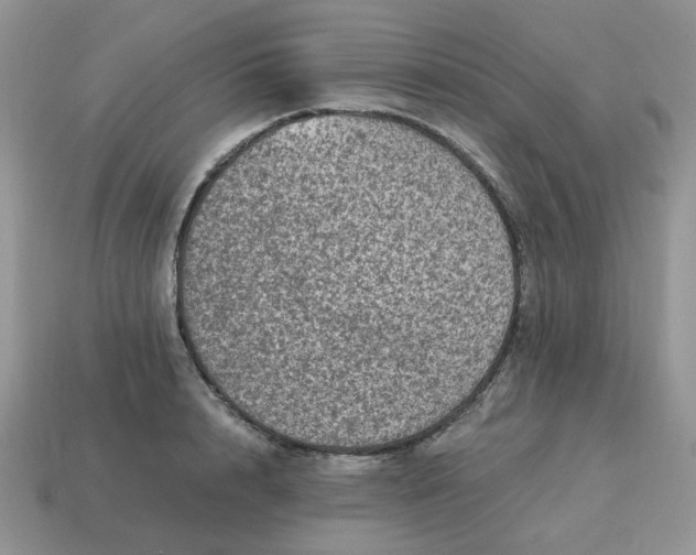 X0000115060848200911091445