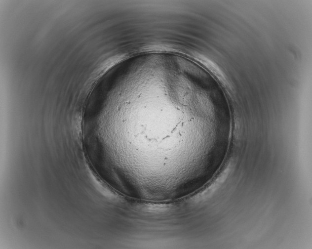 X0000115060849200911091445