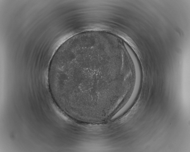 X0000115060850200911091445