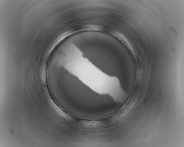 X0000115060851200911091445