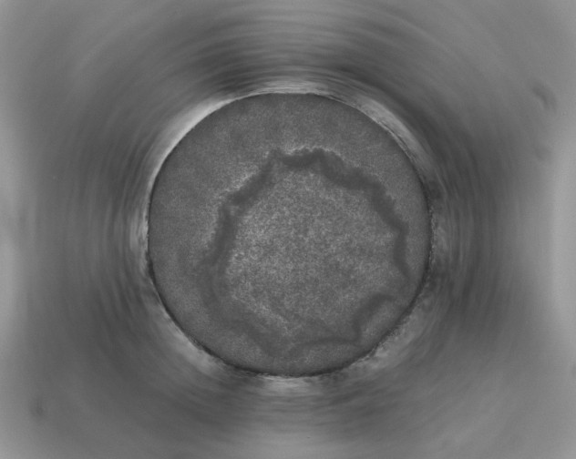 X0000115060852200911091445