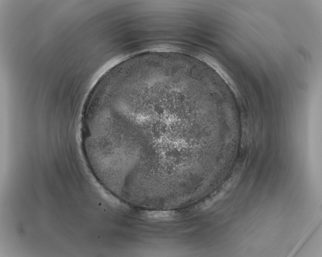 X0000115060853200911091445