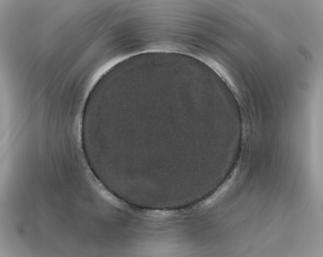 X0000115060854200911091445