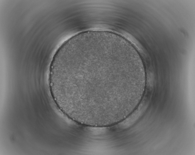 X0000115060856200911091445
